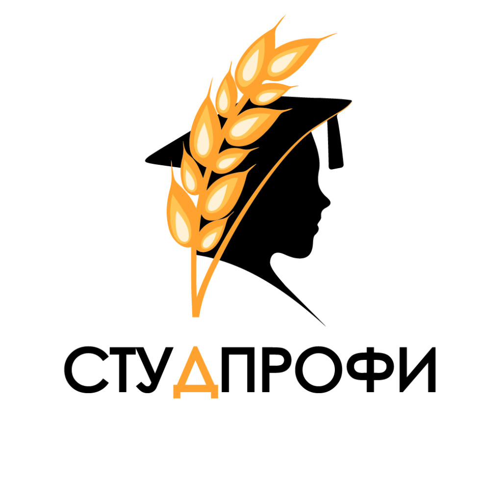 Logo_StudProfi.jpg